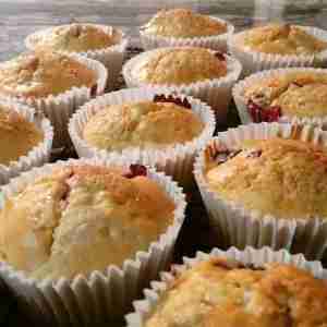 muffins